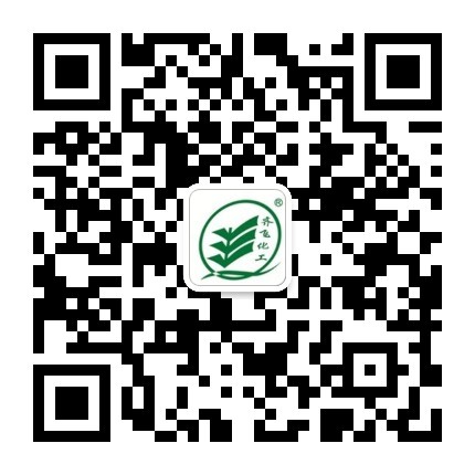 91视频下载地址化工